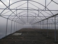 Теплица № Т 003