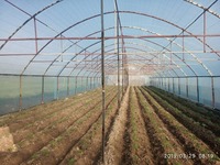 Теплица № Т 004