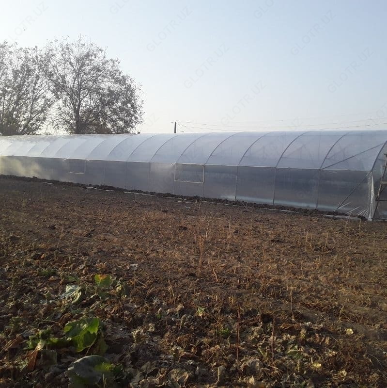 Теплица № Т 006