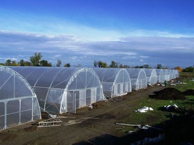 Теплица № Т 006 - Цена по запросу