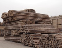 Круглый брус 6 метров - 153 640 704 сум