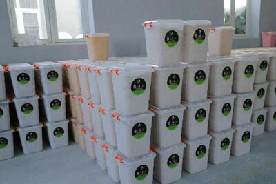 Жидкие обои Berlak №3