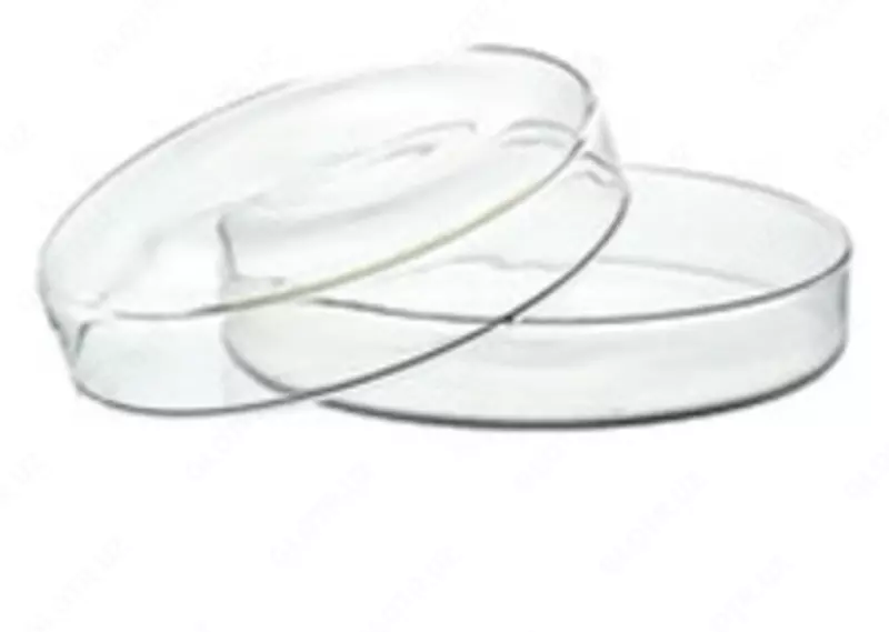 Чашки Петри (стеклянные) 100x20мм (Чехия)
