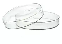 Чашки Петри (стеклянные) 100x20мм (Чехия)