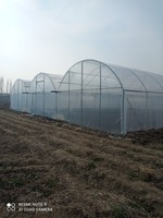 Строительство теплиц