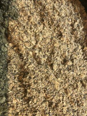 Хлопковый шрот