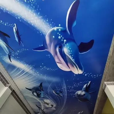 Cho'zilgan ship. Model raqami 3 - Narx so&#039;rov asosida