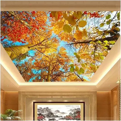 Cho'zilgan ship. Model raqami 7