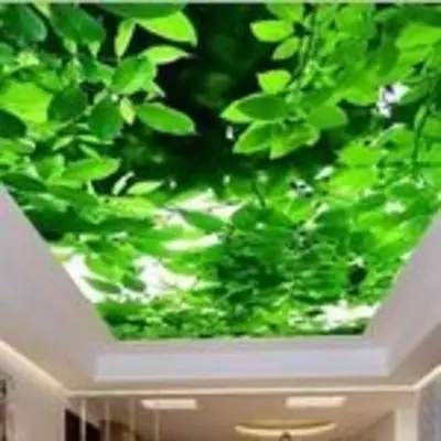 Cho'zilgan ship. Model raqami 11