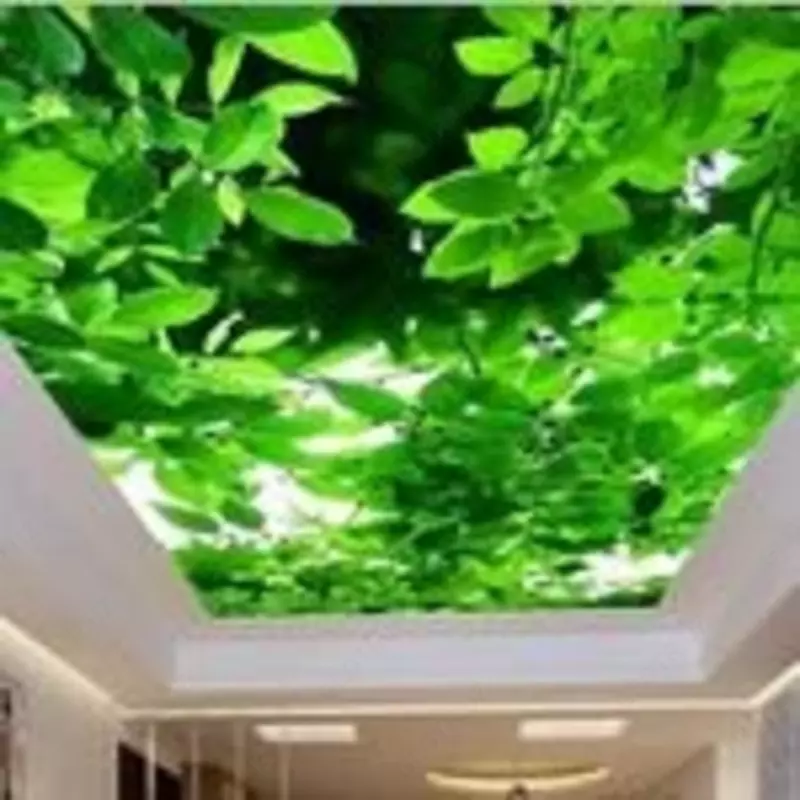 Cho'zilgan ship. Model raqami 11