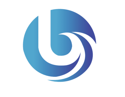 OOO "WHITE SNOW CORPORATION"