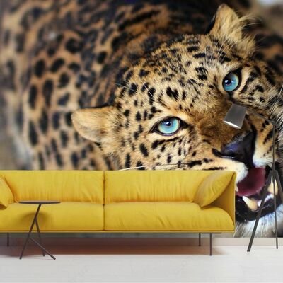 Фотообои 3 d Фотообои 3 d