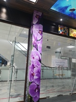 {0} so'mdan Choksiz 3D fon rasmi