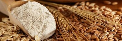 Ячменная мука цельносмолотая - от 27 000 сум / кг.