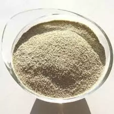 Солод ржаной неферментированный белый