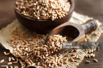 Полба шелушённая