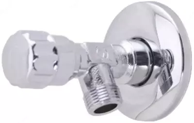 в комплекте с декоративной чашкой