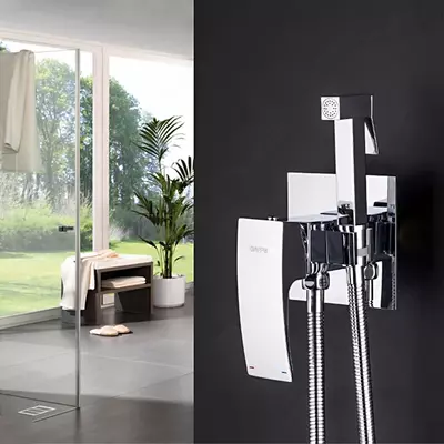 Gappo G7207-1 (встроенный гигиенический душ хром G51) Цвет: хром Gappo G7207-1 (встроенный гигиенический душ хром G51) Цвет: хром