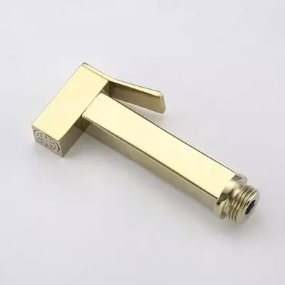 Gappo G7207-3 (встроенный гигиенический душ хром G51) Цвет: Золото