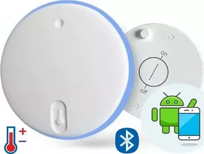 RELSIB WT52-b — термометр (уплотнительное кольцо голубого цвета)