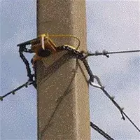 Спрут — раскрепляющее устройство - от 586 200 сум