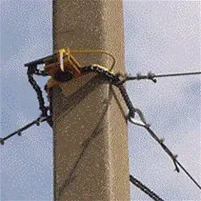 Спрут — раскрепляющее устройство - от 586 200 сум / шт.