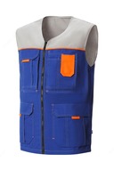 Yelek zamburug'i och kulrang