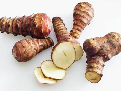 Jasur Agro biznes