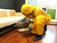 Уничтожение клопов - по запросу