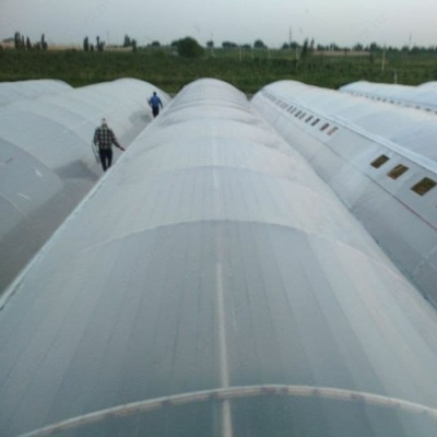 Issiqxonalar - 5 000 000 so'm / sotih