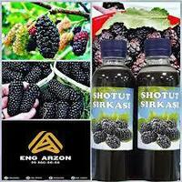 Shotut sirkasi. Шотут сиркаси.