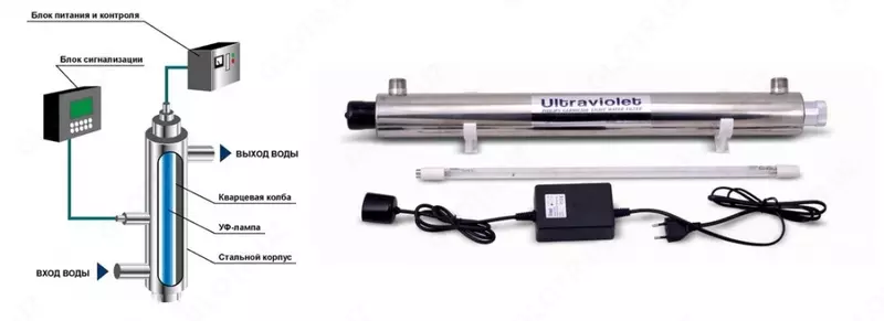  ультрафиолетовый лампа philips - 
