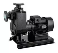 канализационный насос SHIMGE 80 Wl 30-25