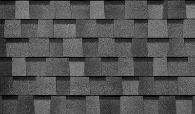 Gibkaya cherepica Серия Dragon Premium