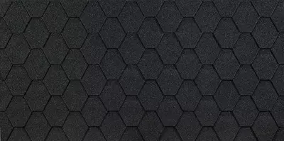 Gibkaya cherepica Eurasia