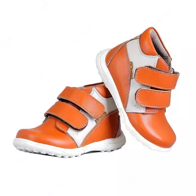 Модель Ботики