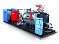 Пакетный паровой котел на шасси WENTA