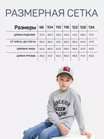 Цвет: серый меланж