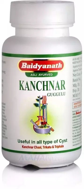  Препарат Канчнар гуггул (Kanchnar guggul) Baidyanath  80 таб. - 
