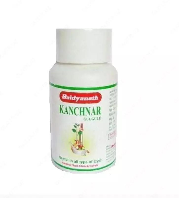Пищевая добавка для очищения крови Канчнар Гуггул Байдианатх 80 табл. (Индия)