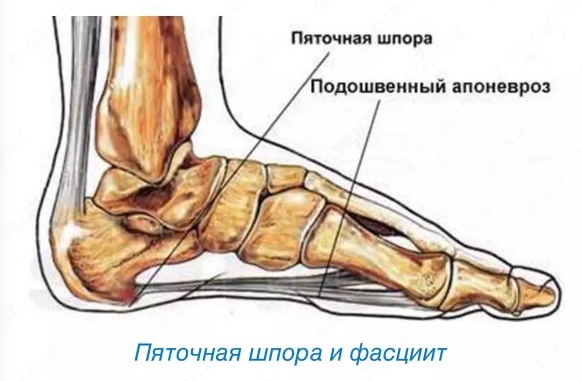 2022-02-21-01-40-31-842485-f9517f92b85c8bff1c833895ad11fb3a.webp?_=ozbol