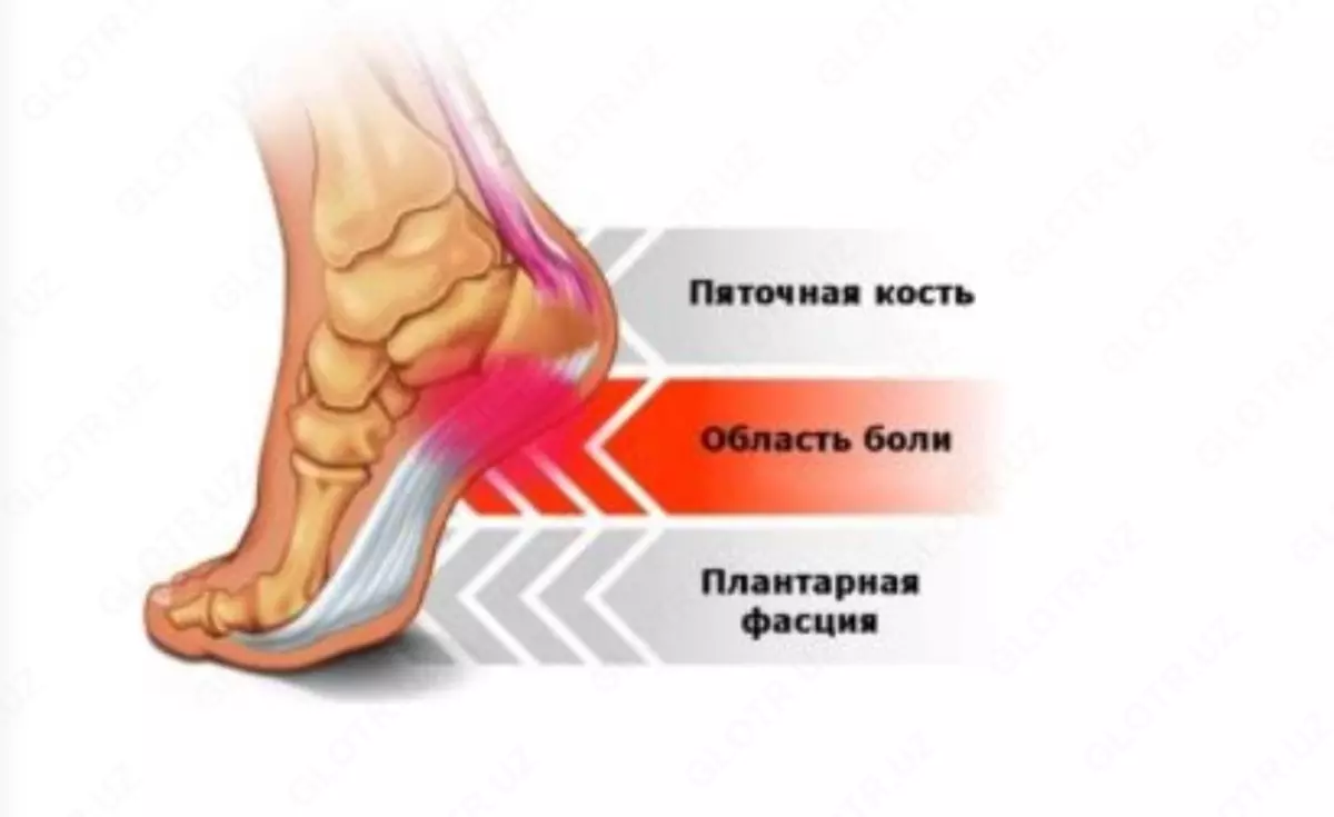 2022-02-21-01-44-38-611988-f1cd5b82c1f60543e9376c07fbc5e32d.webp?_=ozbol