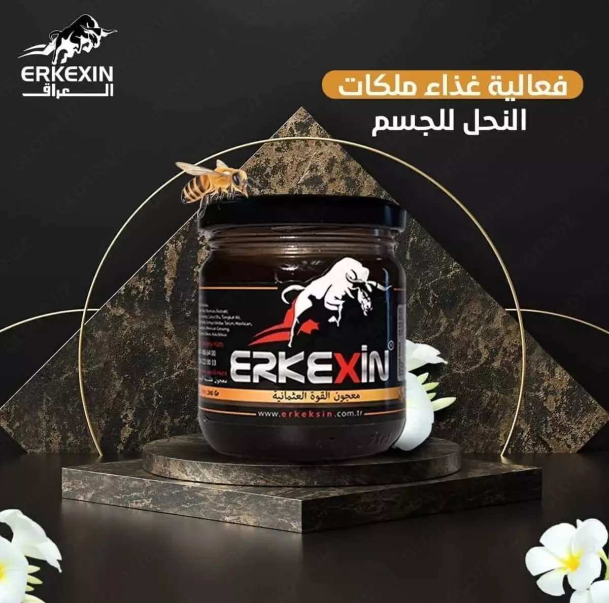 2025-01-31-15-55-22-957053-bd278bc0badcbd5b27711e530571e77d.webp?_=ozbol