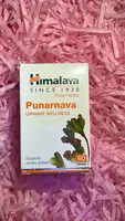 Пунарнава используется в Аюрведе как средство для укрепления почек и лечения мочеполовой системы - 