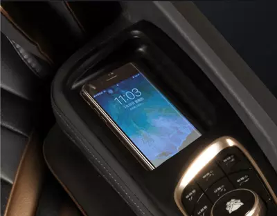 Массажное кресло премиум класса QR-8900 Black Panther