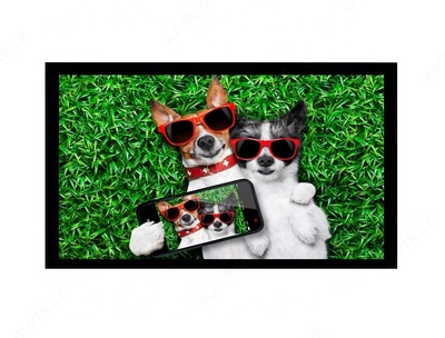 Интерактивная панель Agile 65L-D3 - 15 000 000 сум / шт.