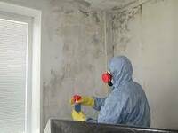  Уничтожение плесени - 