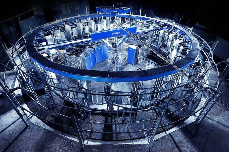 QORA MOL UCHUN SOG'ISH ZALLAR