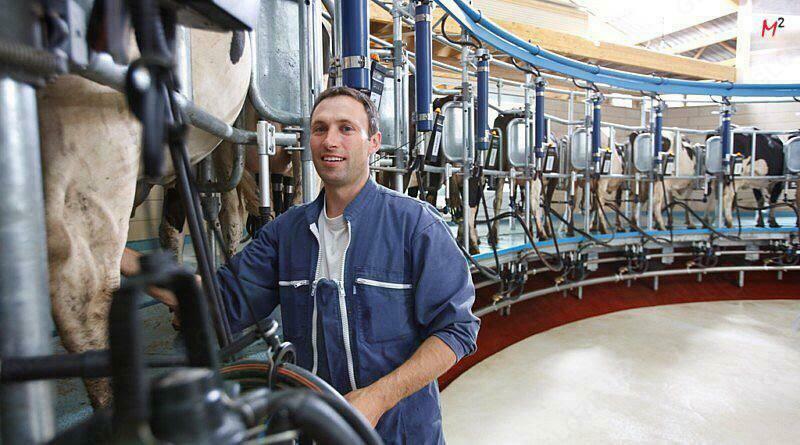 QORA MOL UCHUN SOG'ISH ZALLAR