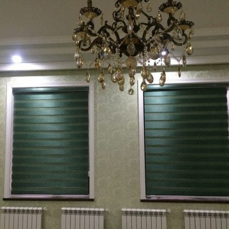 Ko'zi ojizlar san'ati. 16